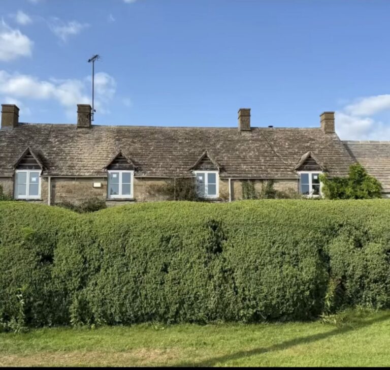 Cotswold stone roof cleaned by Cotswold Roof Cleaning