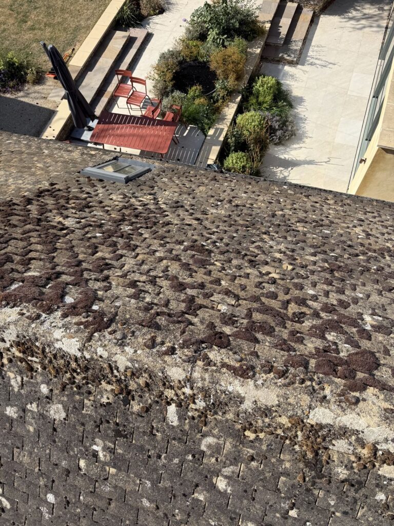 Roof cleaning in Lechlade by Cotswold Roof Cleaning