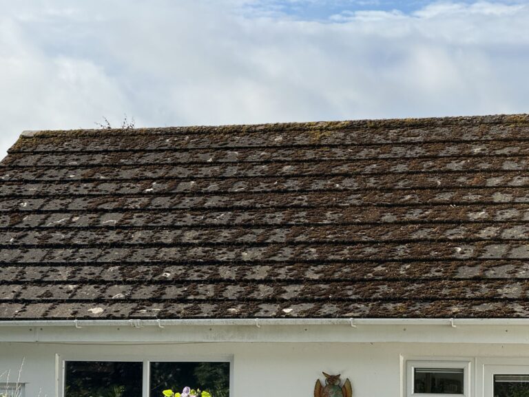 Roof cleaning in Newbury by Cotswold Roof Cleaning